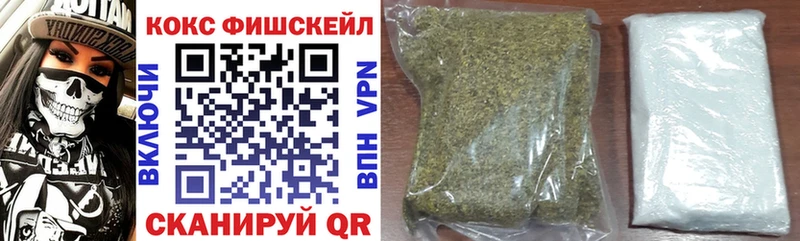 Купить  Полярные Зори  COCAIN Эквадор 
