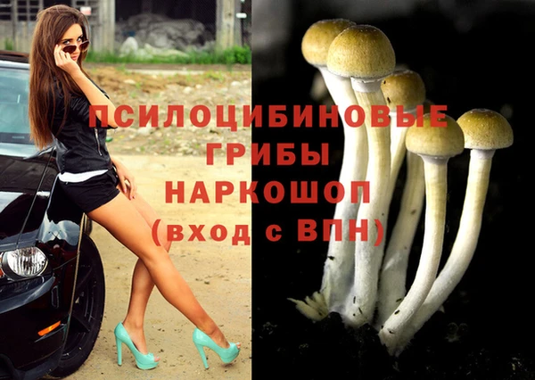 эйфоретик Тобольск