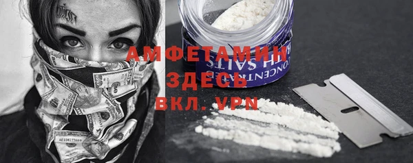 ПСИЛОЦИБИНОВЫЕ ГРИБЫ Тайга